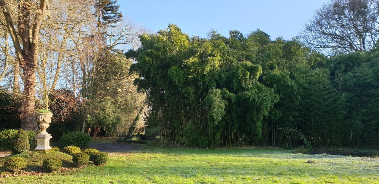 La Villa Des Arts Savigne-l'Eveque Luaran gambar